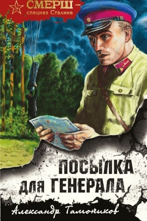 Обложка: Посылка для генерала