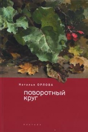 Buchcover: Povorotnyj krug.