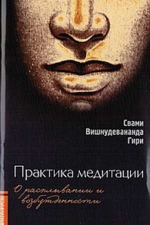 Buchcover: Praktika meditacii: o rasplyvanii i vozbuždennosti