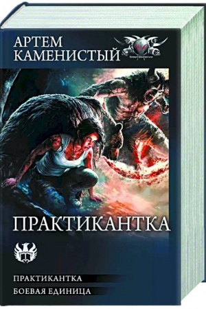Buchcover: Praktikantka