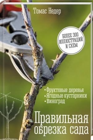 Cover: Pravil′naya obrezka sada. Fruktovye derev′ya, yagodnye kustarniki, vinograd