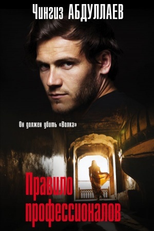 Cover: Pravilo professionalov
