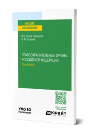Buchcover: PRAVOOCHRANITEL′NYE ORGANY ROSSIJSKOJ FEDERACII. PRAKTIKUM. Učebnoe posobie dlja vuzov