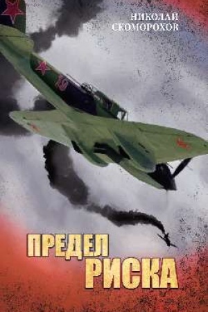 Buchcover: Predel riska