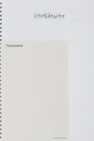 Cover: Predzim′e