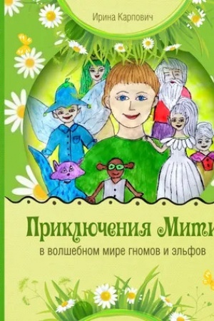 Обложка: Приключения Мити в волшебном мире гномов и эльфов.
