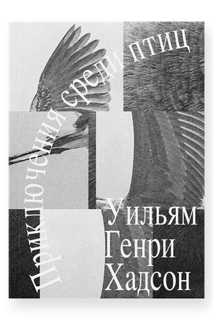 Buchcover: Priključenija sredi ptic