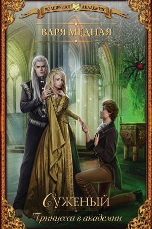 Cover: Princessa v akademii. Suzhenyj