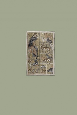 Buchcover: Prisvoenie Imeni