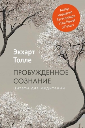 Обложка: Пробужденное сознание. Цитаты для медитации