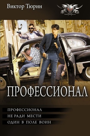 Buchcover: Professional