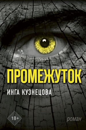 Buchcover: Promežutok