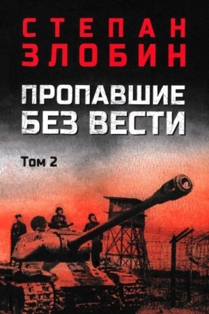 Cover: Propavshie bez vesti t.2 (12+)