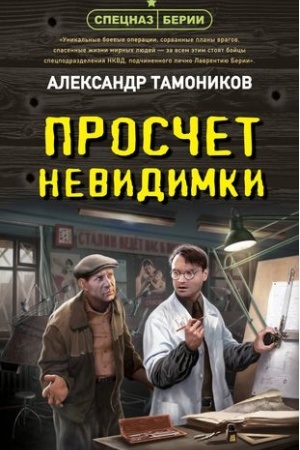 Обложка: Просчет невидимки