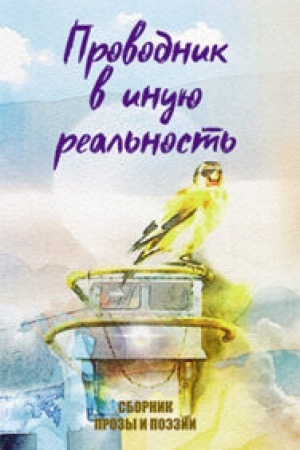 Обложка: Проводник в иную реальность