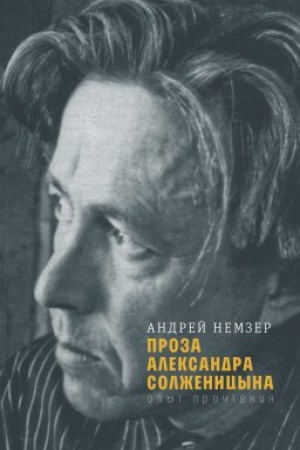 Обложка: Проза Александра Солженицына: Опыт прочтения