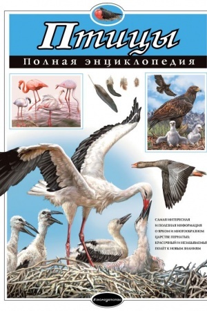 Обложка: Птицы. Полная энциклопедия