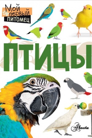 Cover: Pticy
