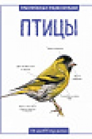 Cover: Pticy