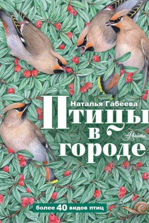 Cover: Pticy v gorode
