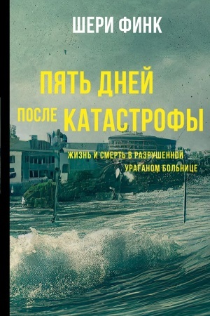Обложка: Пять дней после катастрофы