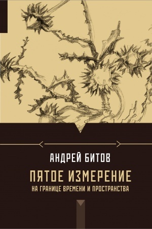 Обложка: Пятое измерение. На границе времени и пространства