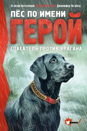 Обложка: Пёс по имени Герой. Спасатель против урагана