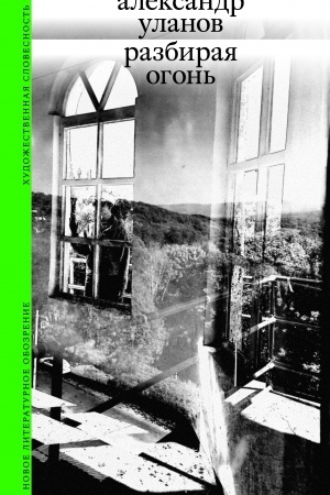 Buchcover: Razbiraja ogon′