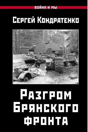 Buchcover: Razgrom Brjanskogo fronta