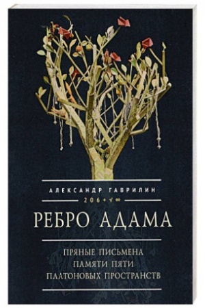 Обложка: Ребро Адама.Пряные письмена памяти пяти Платоновых пространств