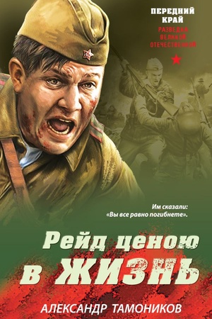 Обложка: Рейд ценою в жизнь