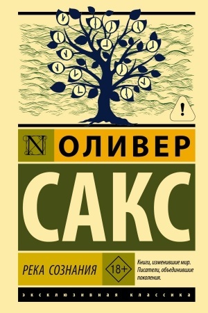 Buchcover: Reka soznanija
