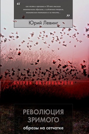 Buchcover: Revoljucija zrimogo. Obrazy na setčatke