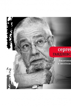 Buchcover: Ržavčina i želtizna