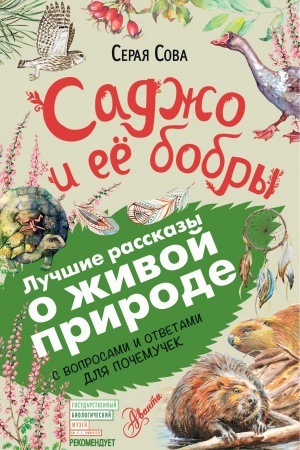Cover: Sadzho i eyo bobry