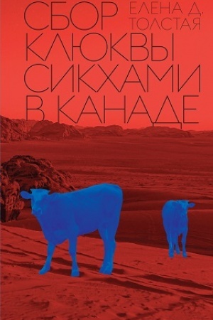 Buchcover: Sbor kljukvy sikchami v Kanade
