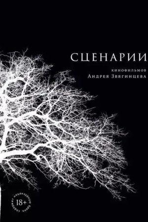 Cover: Scenarii kinofil′mov Andreya Zvyaginceva