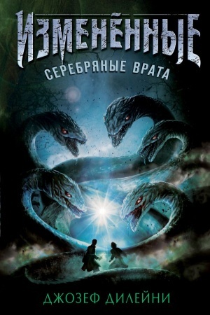Обложка: Серебряные врата