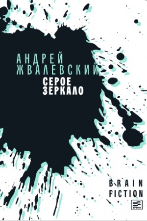 Buchcover: Seroe zerkalo