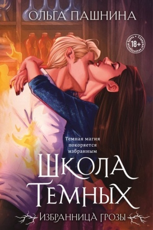 Обложка: Школа темных. Избранница грозы (клатчбук)