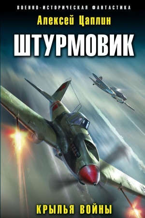 Обложка: Штурмовик. Крылья войны