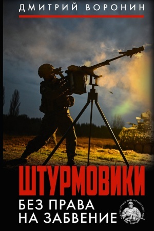 Buchcover: Šturmoviki. Bez prava na zabvenie