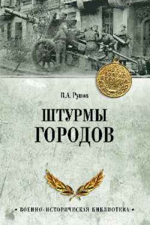 Buchcover: Šturmy gorodov