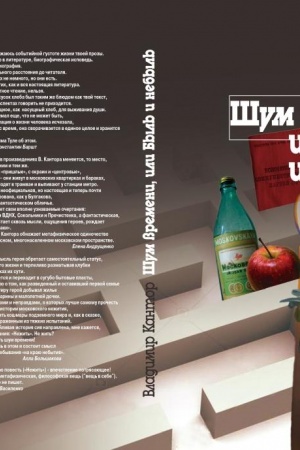 Buchcover: Šum vremeni, ili Byl′ i nebyl′. Filosofičeskaja proza i ėsse