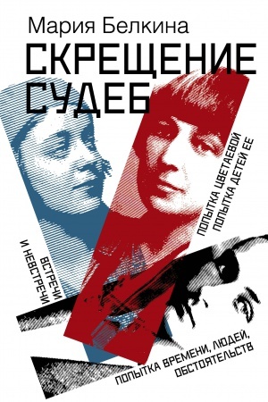 Обложка: Скрещение судеб