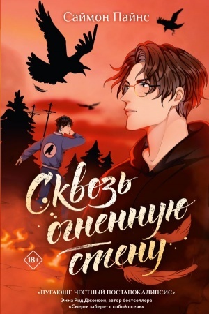 Buchcover: Skvoz′ ognennuju stenu