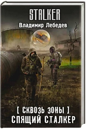 Обложка: Сквозь Зоны. Спящий сталкер