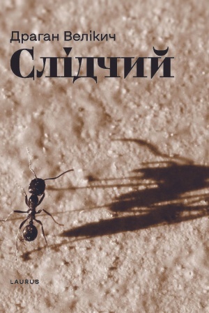 Buchcover: Slidčyj