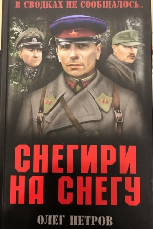 Buchcover: Snegiri na snegu