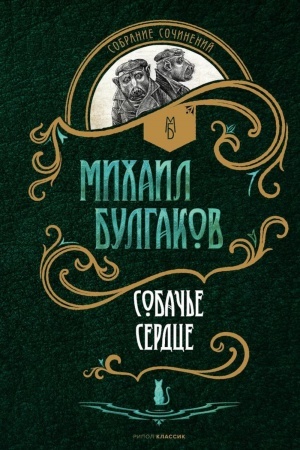 Cover: Sobach′e serdce: povesti